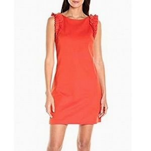 Ann Taylor dress NWT